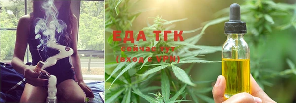 соль ск Ельня
