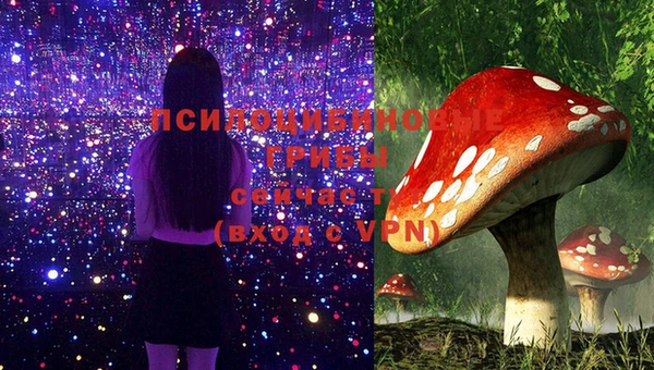соль ск Ельня