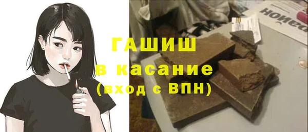 соль ск Ельня