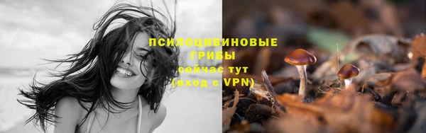 кокаин VHQ Елизово