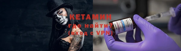 соль ск Ельня