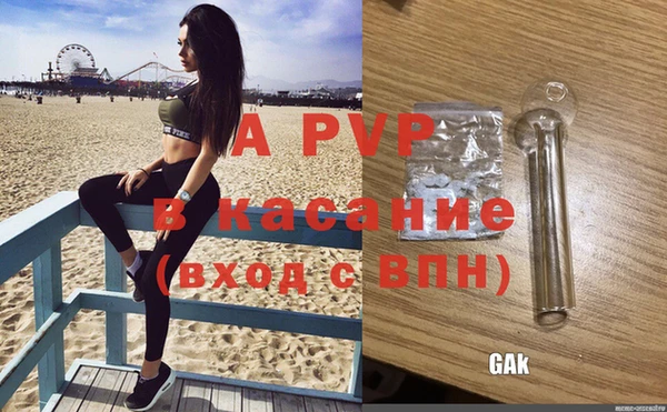 соль ск Ельня
