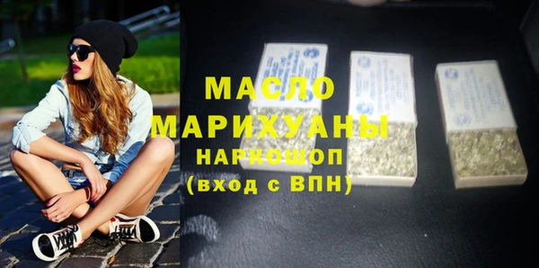 соль ск Ельня