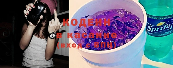 соль ск Ельня